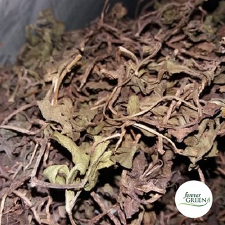 Cây sài đất khô - Điều trị viêm bàng quang, viêm gan hiệu quả FG153