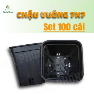 Chậu vuông 7x7 đen (Set 100 cái).