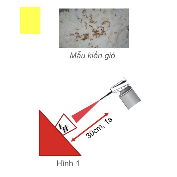 Bình xịt diệt Kiến ARS Jet Ant Hương Hoa Anh Đào 500ml Ngăn kiến quay trở lại diệt tận ổ kiến vòi xịt nhỏ tận ổ 5.0 1 Đá
