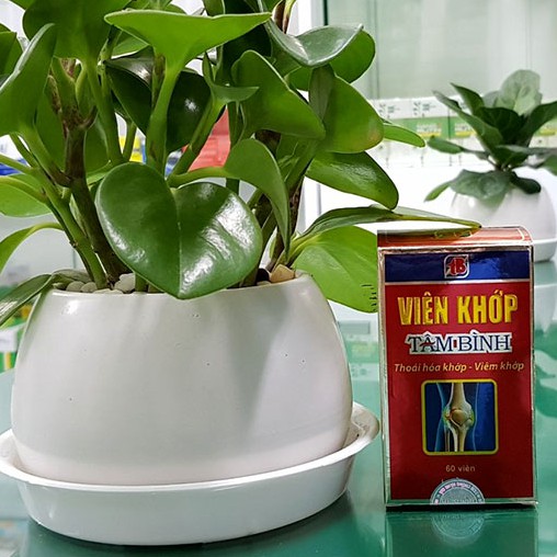 Viên Khớp Tâm Bình - Hỗ trợ điều trị thoái hóa khớp cột sống cổ, giảm đau xương khớp (60 viên)