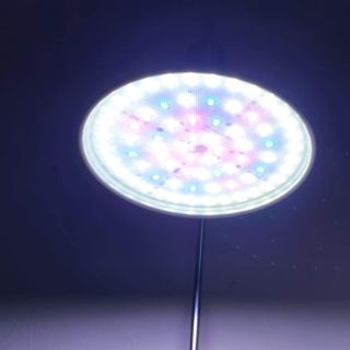Đèn led xima rbg ánh sáng 8k công suất 20w và 40w