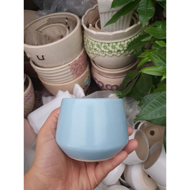 Chậu cảnh mini