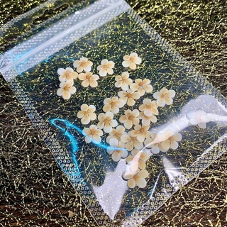Hoa mai nhí gắn móng trang trí móng