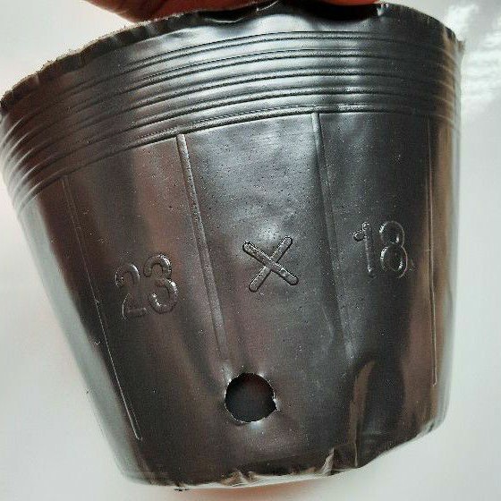 1kg túi bầu ươm cây 23.18 khoảng 80 cái