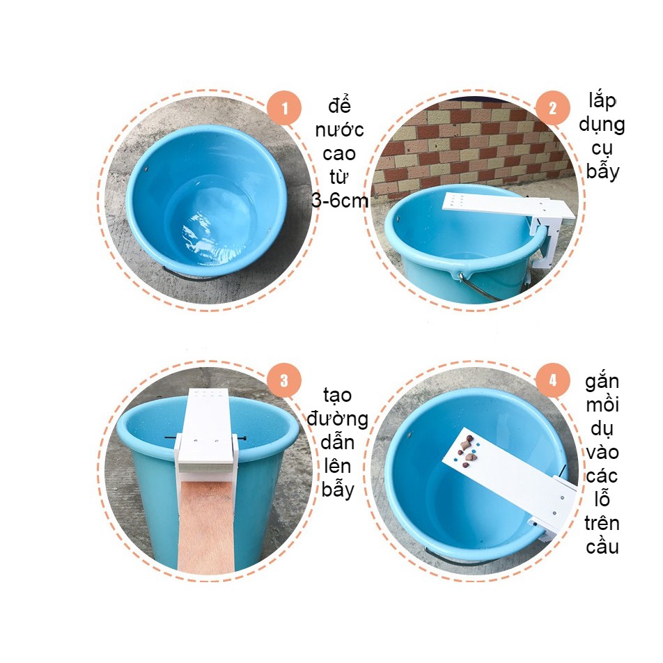 Bẫy chuột bập bênh, không hóa chất, không độc hại dễ dùng trong nhà ngoài trời, vườn, giá rẻ, video hướng dẫn lắp