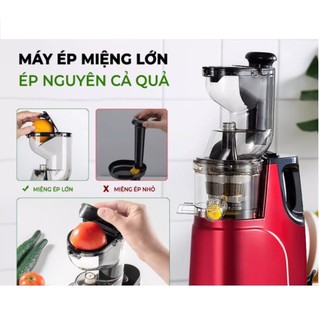 Máy ép chậm hoa quả Hongxin RH312 ép nguyên quả siêu mạnh mẽ cỡ lớn