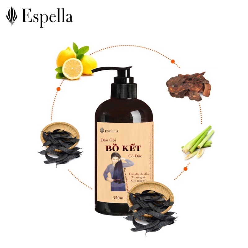 DẦU GỘI BỒ KẾT CÔ ĐẶC - GỪNG TƯƠI HỖ TRỢ GIẢM BẾT DẦU, RỤNG TÓC, KÍCH MỌC TÓC (HANDMADE) | Thế Giới Skin Care