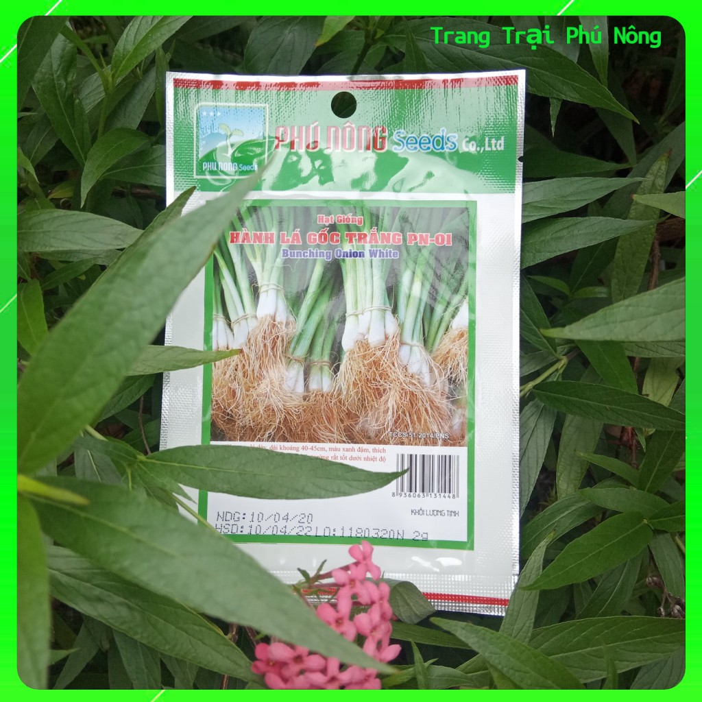 Hạt Giống Hành Lá Gốc Trắng PN-01 Phú Nông - Gói 2gr - Bunching Onion White