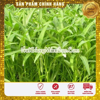 Hạt Giống Rau Muống Lá Tre(50gr)