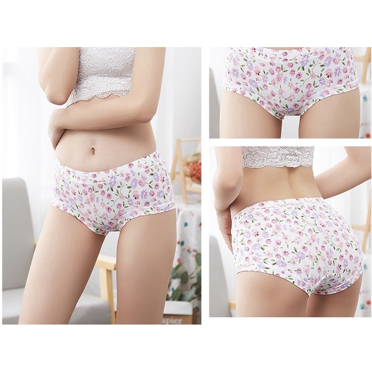 Quần Lót Su Hoa Thông Hơi Cạp Cao 5084