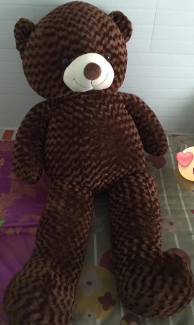 Gấu bông teddy 1m8