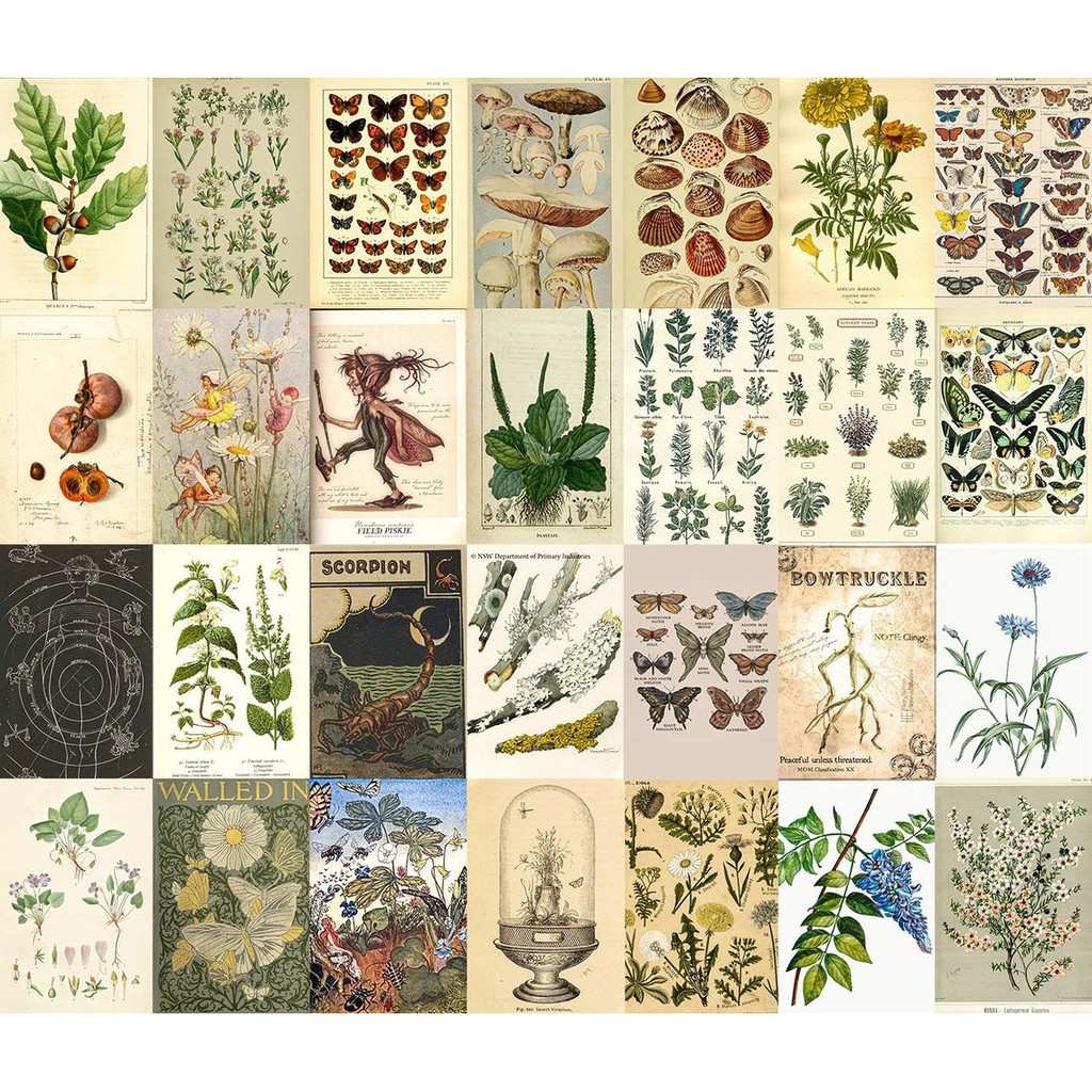 12 tấm Wall Collage keo sẵng dán tường trang trí phòng ngủ - theme Vintage Bonita