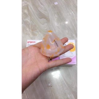 NÚM TI PIGEON NỘI ĐỊA NHẬT