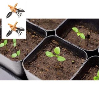 🍀GÓI 100 HẠT CÀ TÍM DÀI CAO SẢN F1🍀 TRỒNG HOA TẾT