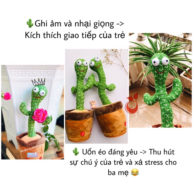 [ẢNH THẬT- HÀNG CÓ SẴN]🌵Xương Rồng Nhảy Múa, Phát triển kĩ năng, Ghi Âm, Nhại Giọng,120 Bài Hát,Sạc Cổng USB - BEOFAMILY