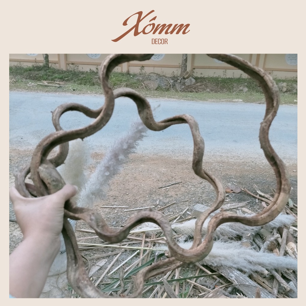 Cuộn dây xoắn rừng tự nhiên  trang trí decor, làm cây leo giả, tạo hình chậu hoa, chậu lan