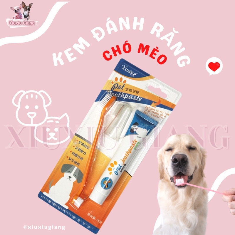 Set Kem Đánh Răng Kèm Bàn Chải Cho Chó Mèo Yingte - Xiuxiu Giang