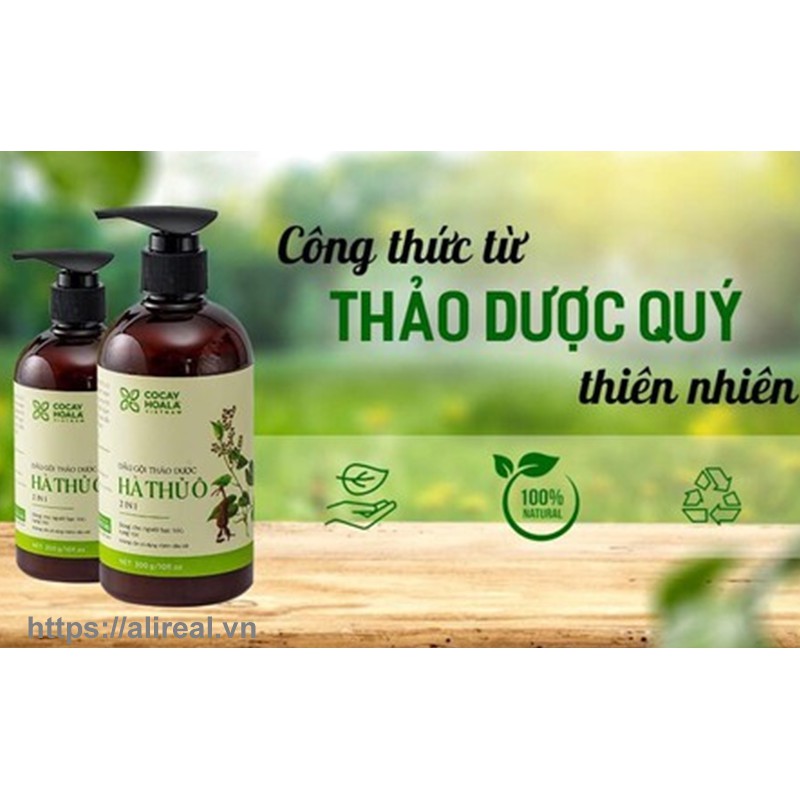 dầu gội hà thủ ô Cỏ Cây Hoa Lá - 800 ml