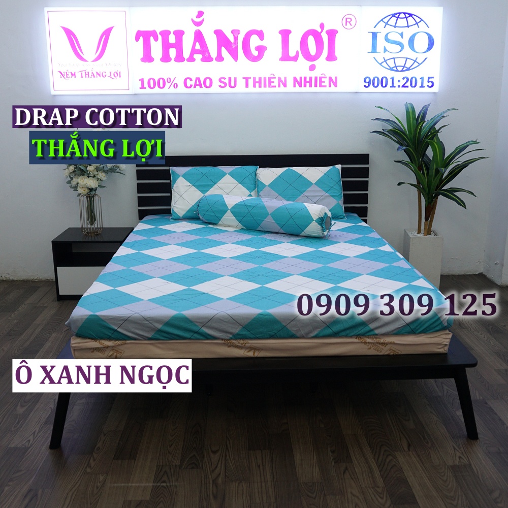 Drap Cotton 100% Thắng Lợi chính hãng IN LOGO THẮNG LỢI | BigBuy360 - bigbuy360.vn