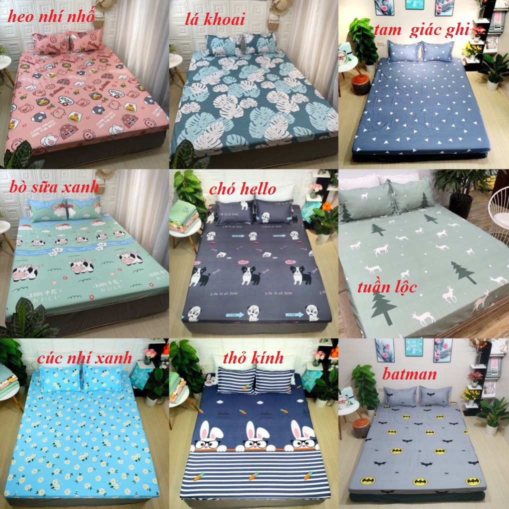 Bộ ga+ 2 gối cotton poly nhiều cỡ giường