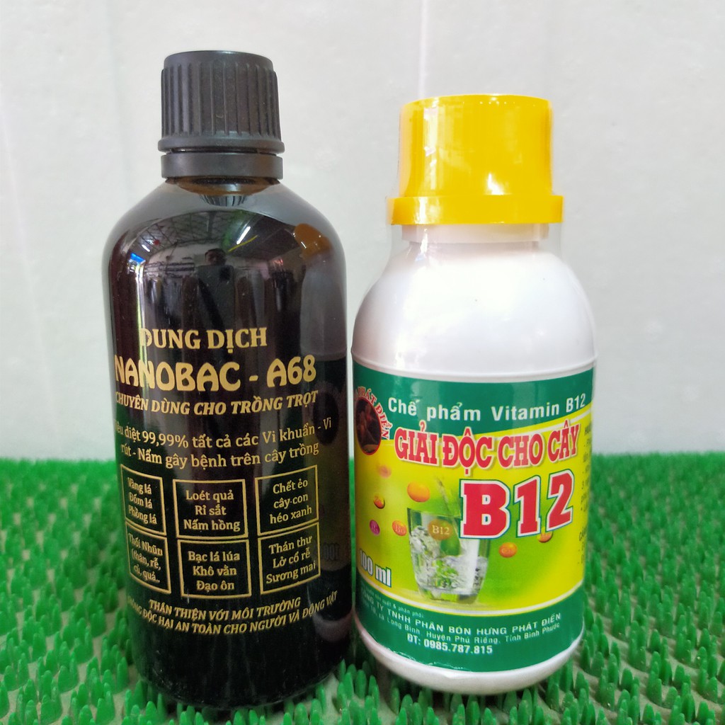 Combo diệt khuẩn , trị nấm Nano Bạc & B12 giải độc cây