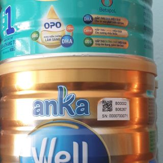 Sữa bột Anka Well IQ 1 - 900g