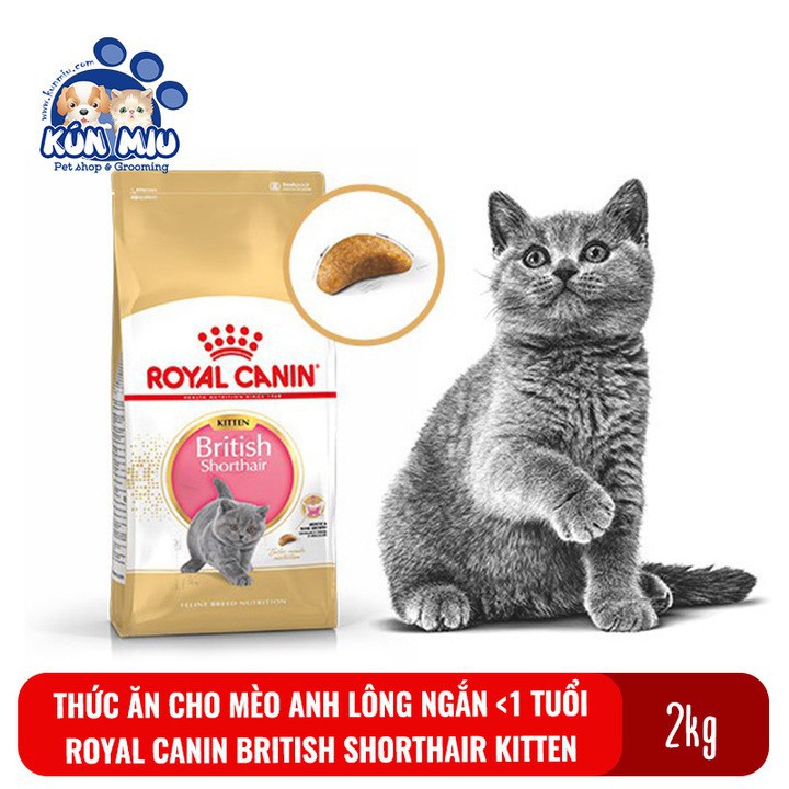 Thức ăn cho mèo con giống Anh lông ngắn Royal Canin British Shorthair Kitten túi 2kg