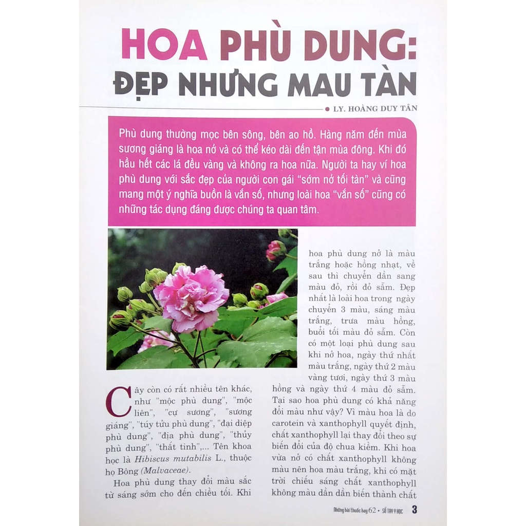 Sách Sổ Tay Y Học - Những Bài Thuốc Hay 62