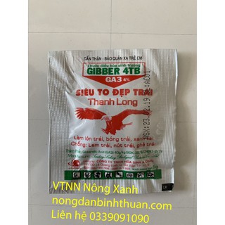 Siêu To Đẹp Trái Thanh long Viên sủi Bộ 5 viên