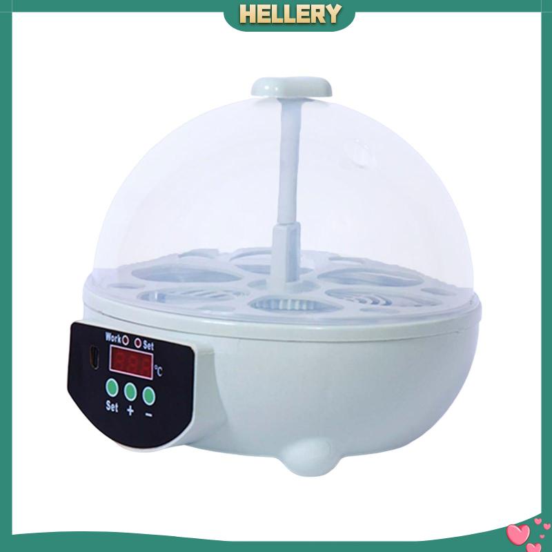Lồng Ấp Trứng 6 Ngăn Kỹ Thuật Số Điều Khiển Nhiệt Độ