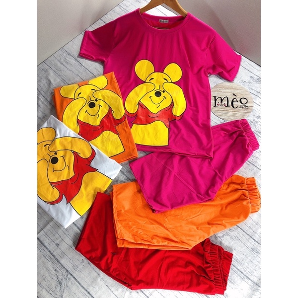 [Chuyên Sỉ] Bộ thun gấu ngố hình in lụa chất thun cotton - hàng đẹp may kĩ chuẩn shop