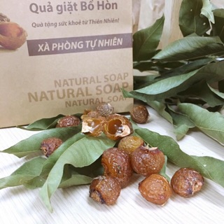 Bồ hòn giặt rửa tách hạt 1kg loại 1