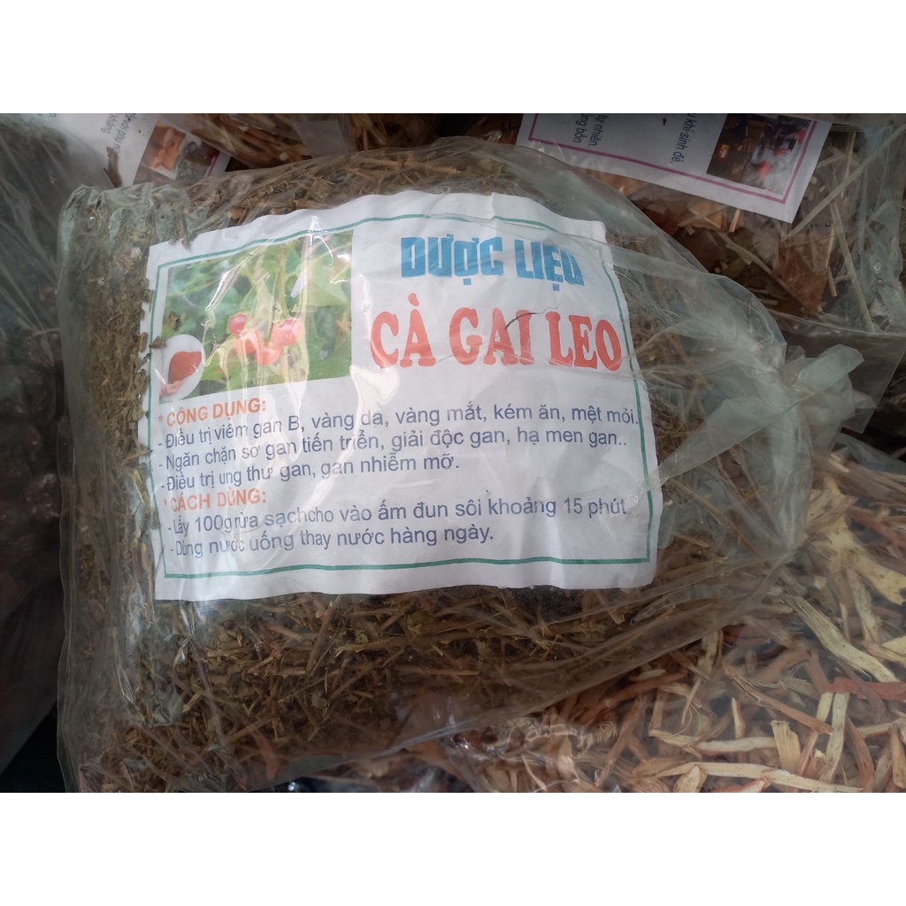 Cà gai leo khô 1kg