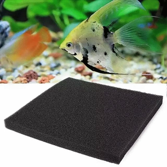 Xốp đen lọc nước cho bể cá cảnh, bể thủy sinh