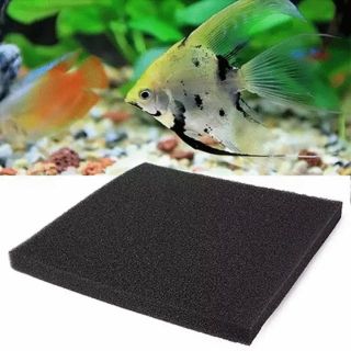 Xốp đen lọc nước cho bể cá cảnh, bể thủy sinh