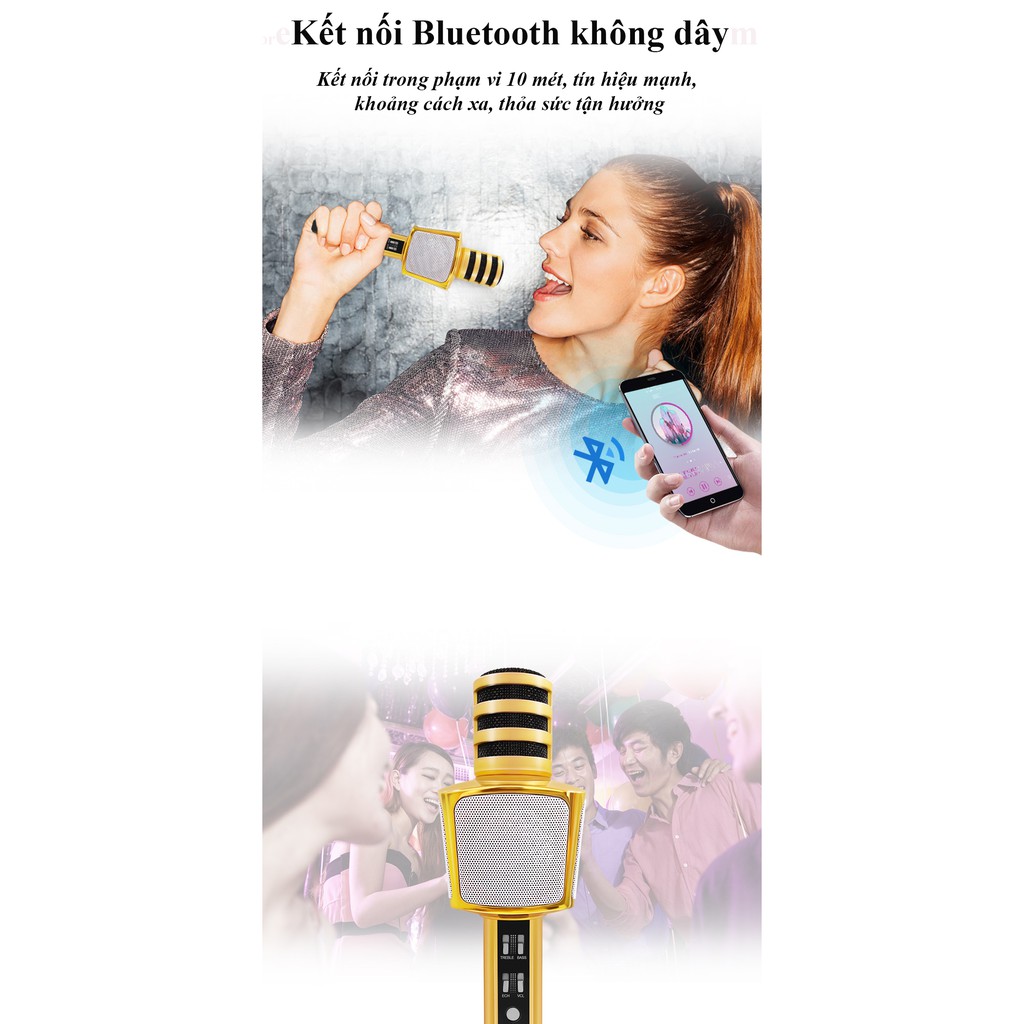 Top 5 Micro Karaoke Bluetooth Đáng Mua Nhất, SDRD SD-17 Micro Karaoke Tích Hợp Loa Bluetooth