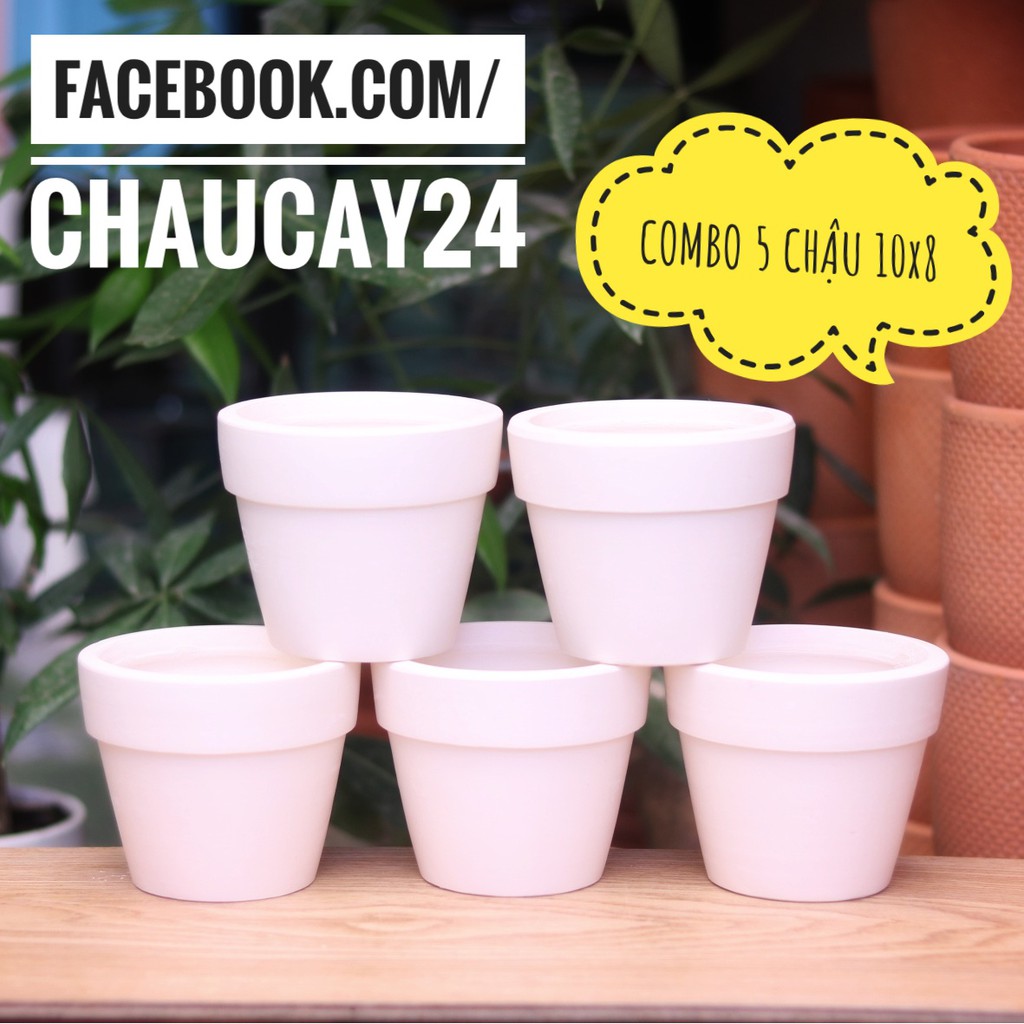 COMBO 5 chậu đất nung 10x8 cm trồng sen đá, xương rồng, cây văn phòng