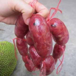 Lạp xưởng nhà làm
