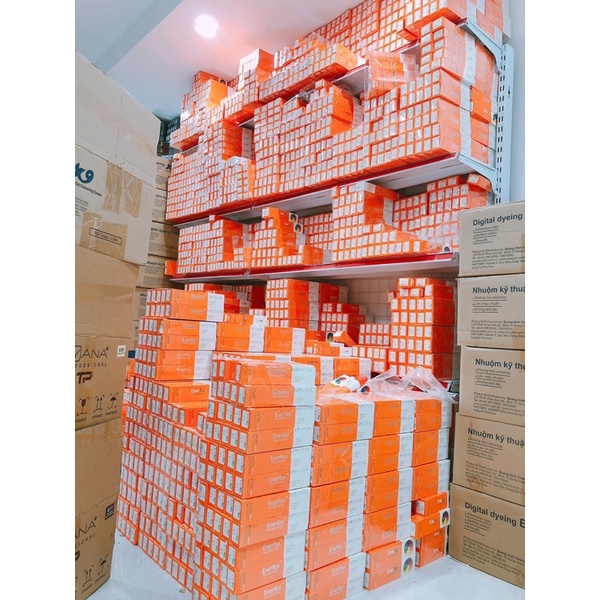 Thuốc Nhuộm Tóc Everflor Nano