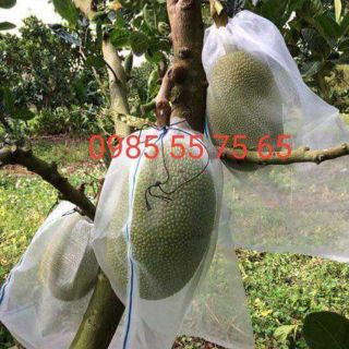 10 túi lưới bao mít có dây rút