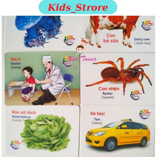 Thẻ học thông minh, thẻ học Flashcard từ vựng kèm hình ảnh cho bé, 16 chủ đề