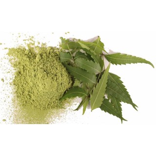 Bột lá neem Ấn nguyên chất giảm mụn và giảm viêm lcl