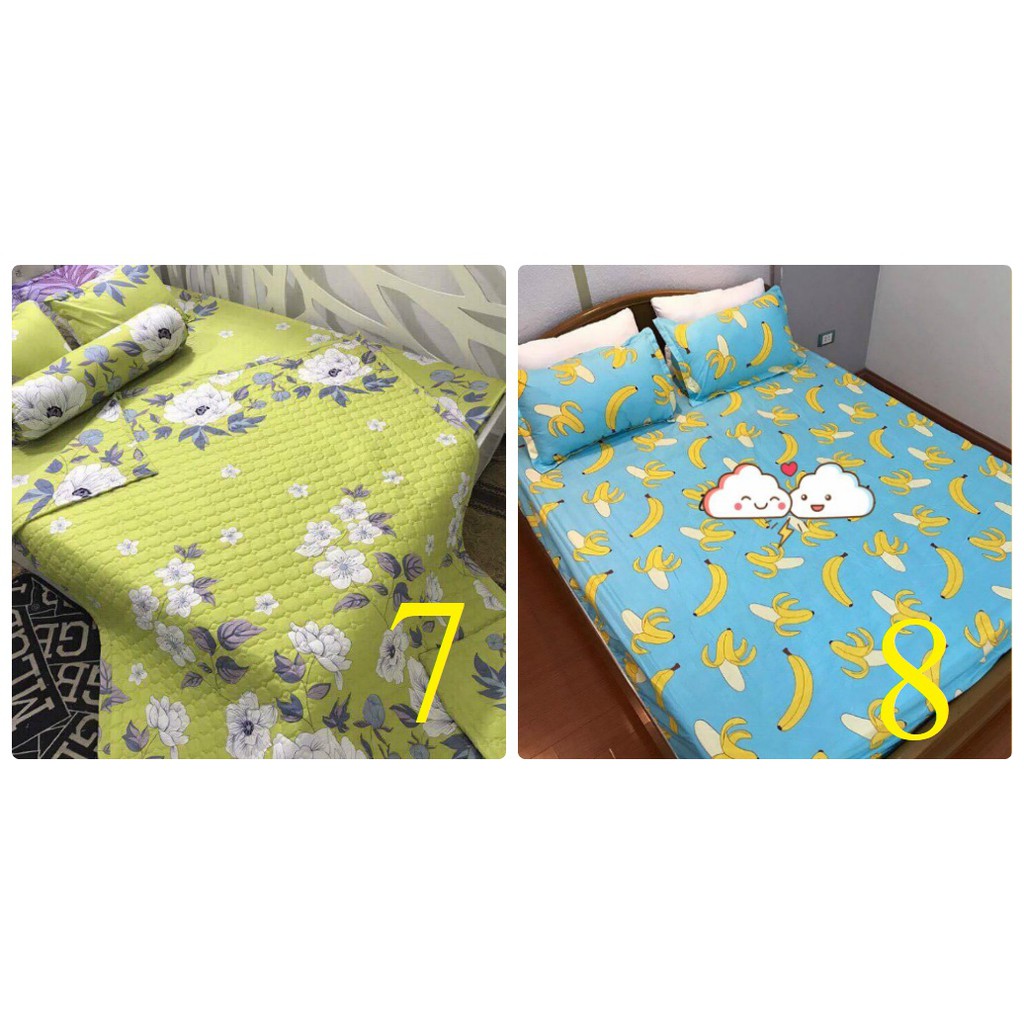 Set ga chun+ 2 vỏ gối + vỏ ôm