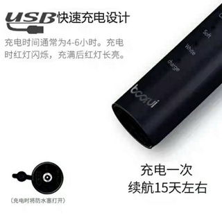 Bàn Chải Đánh Răng Điện Boorui