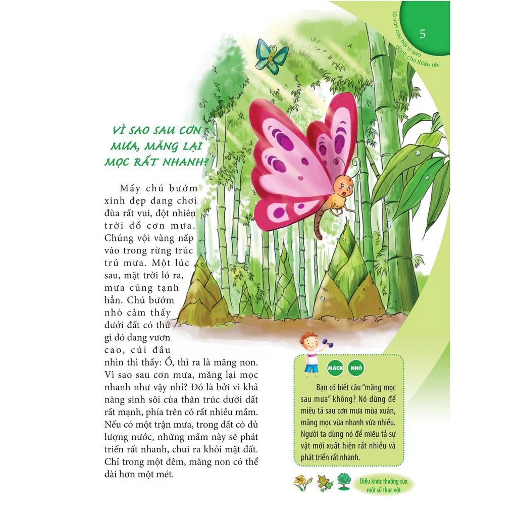 Sách - 10 Vạn Câu Hỏi Vì Sao - Cây Cỏ, Lá Và Hoa