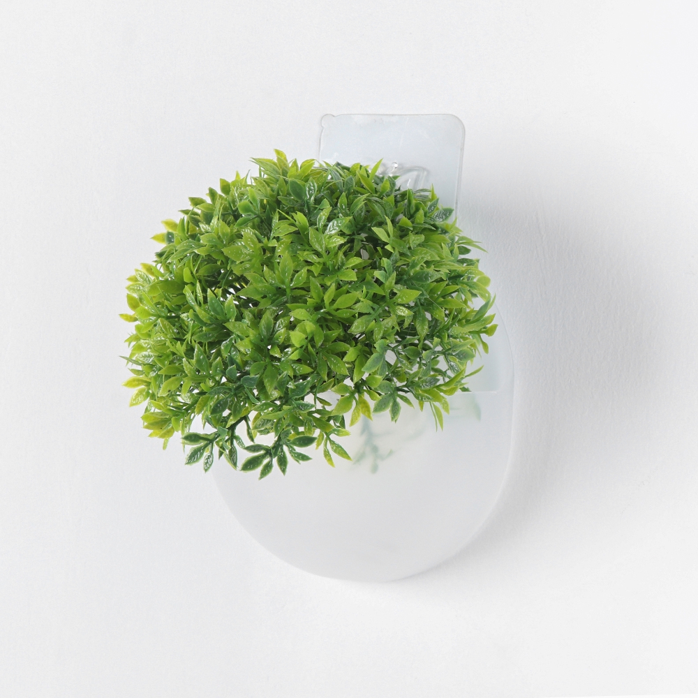 Chậu Hoa Treo Tường Trong Suốt / Trắng Chất Liệu Acrylic