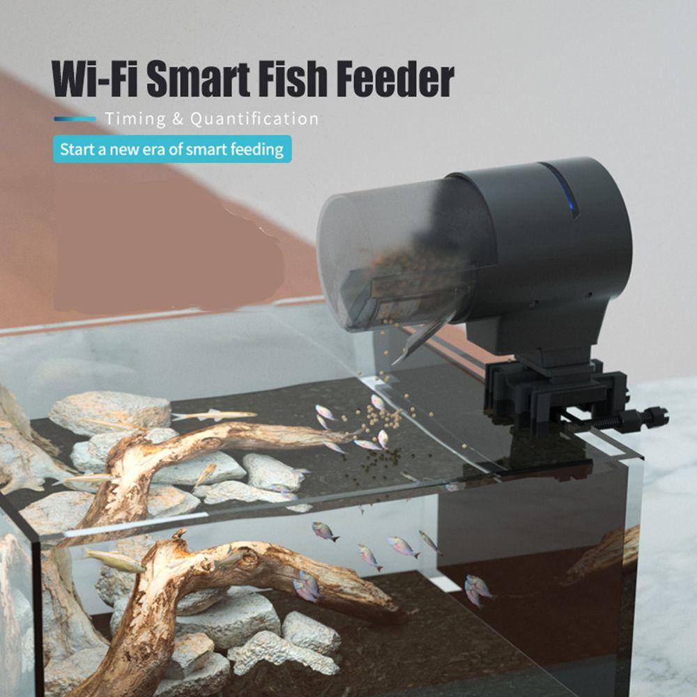 Máy Cho Cá Ăn Tự Động Thông Minh WiFi 24