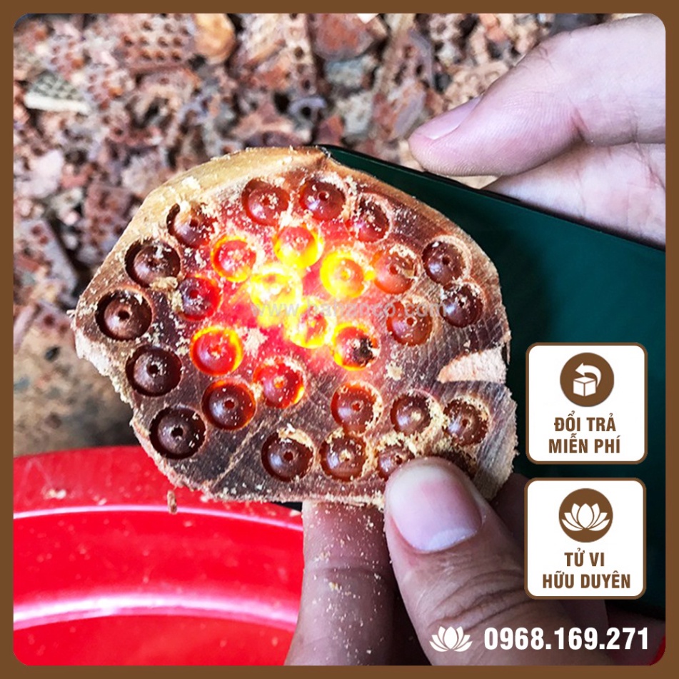 Vòng tay nữ Nu Huyết Long 💕FREESHIP💕 vòng đeo tay thanh lịch, gỗ cao cấp, Đổi trả miễn phí, Xem Tử vi hữu duyên | BigBuy360 - bigbuy360.vn