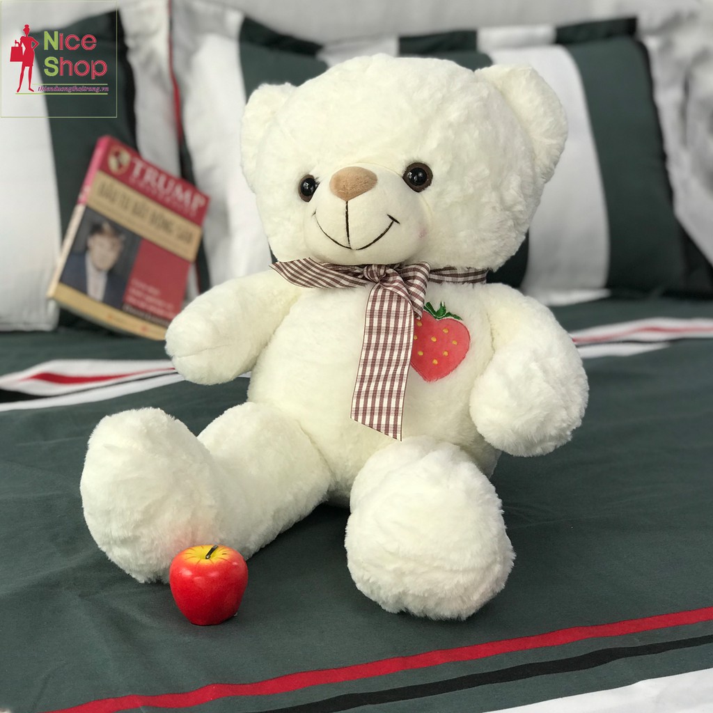 Gấu bông ôm teddy siêu đáng yêu nhiều màu dùng để cho bé ôm trang trí trong nhà - OT0700