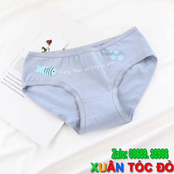 SỈ ZALO RẺ HƠN NHIỀU_ Quần Lót Sớm Thôi Gã Đó Sẽ Thích Mình 5081 | BigBuy360 - bigbuy360.vn